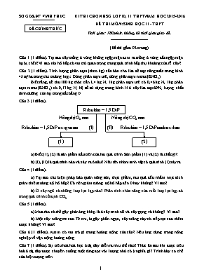 Đề thi chọn học sinh giỏi Sinh học 11 THPT - Năm học 2015-2016 - Sở GD & ĐT Vĩnh Phúc